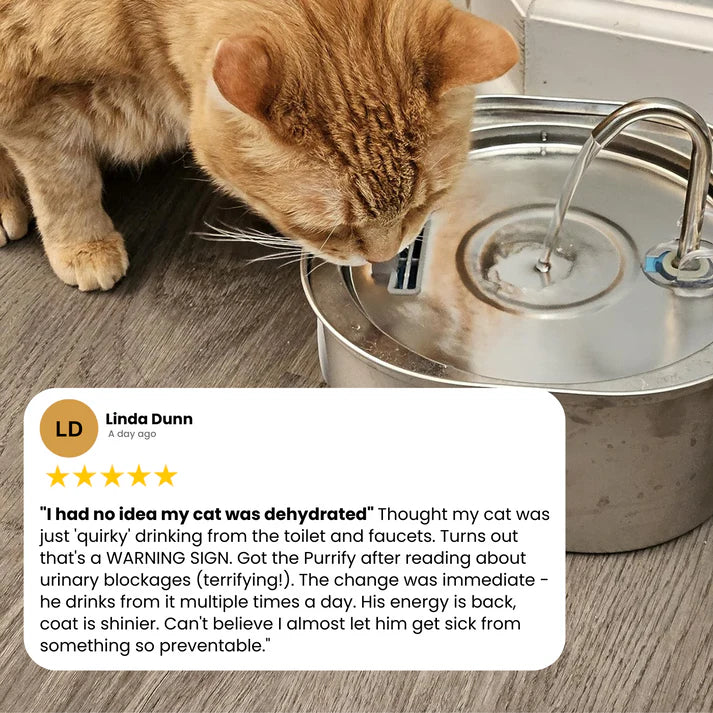 Purrify Water Fountain