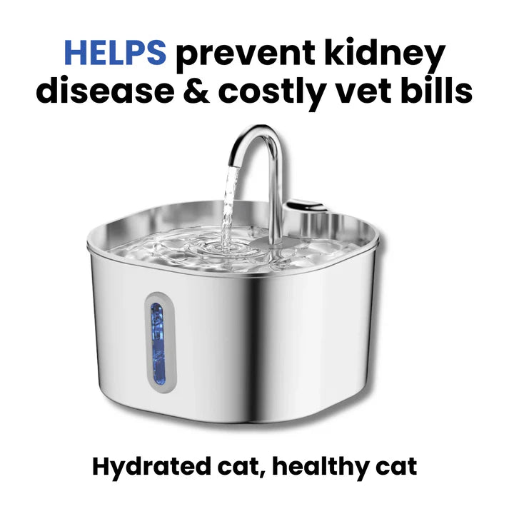 Purrify Water Fountain