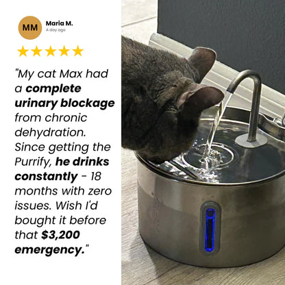 Purrify Water Fountain