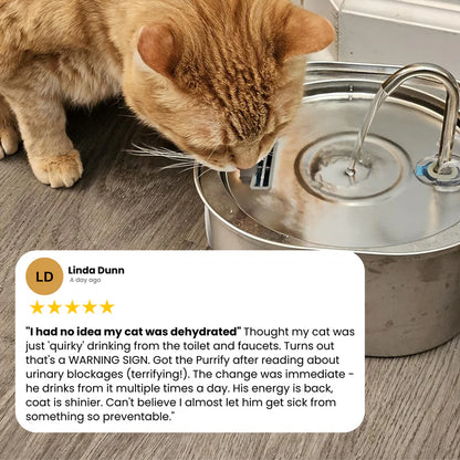 Purrify Water Fountain
